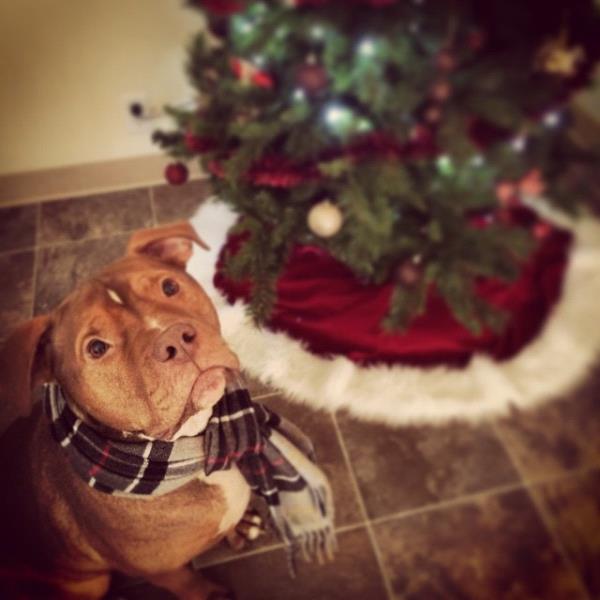 /Images/uploads/Humane Society of Utah/HSUCalendar/entries/1640thumb.jpg